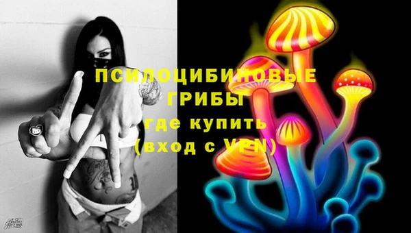 стаф Баксан