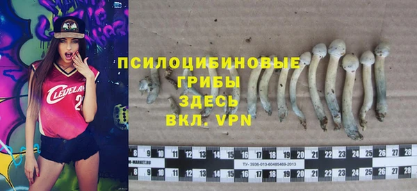 стаф Баксан