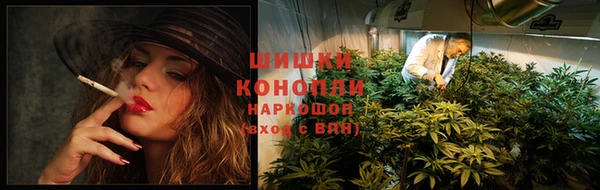 стаф Баксан