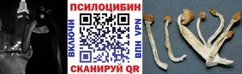 Галлюциногенные грибы MAGIC MUSHROOMS omg Змеиногорск
